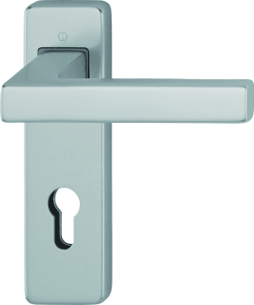 HOPPE Drückergarnitur Austin FS-1769/202KH, KS,PZ72/9,F9,TS 40-65