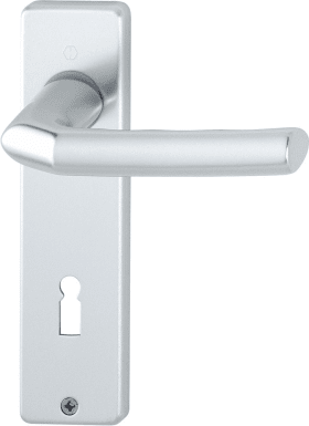 HOPPE Drückergarnitur Birmingham 1117/202KP/AP,KS,BB72/8,F1,TS 37-47,o.No,DIY