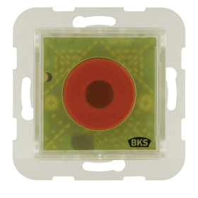 BKS Handtaster FTNT20 B 5580,UP,grün,"Herstellerlogo",24V