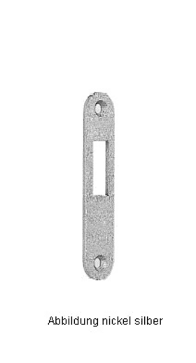 BKS Flachschließblech S413,20x100 ktg,edelstahl