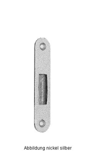 BKS Flachschließblech S441,24x127 ktg,edelstahl