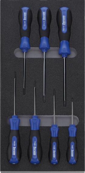 Modul 1/3 leer 2017 Schraubendreher T FORUM