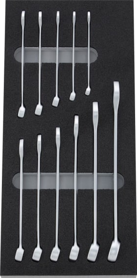 Modul 1/3 leer 2017 Ringmaulschl.gerade FORUM