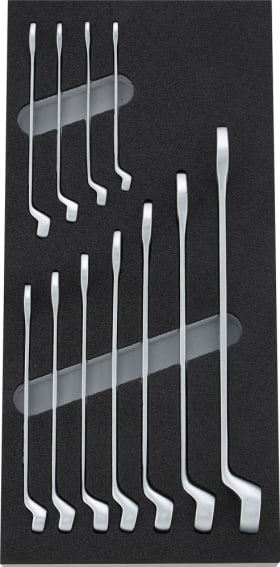 Modul 1/3 leer 2017 Ringmaulschl.gerkrö.FORUM