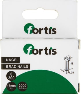 FORTIS NÄGEL TYP 300 M. KOPF 0,1X1,6MM A 2.000 STK. 4317784775151
