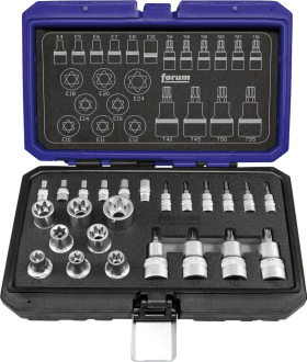 Schraubendrehereinsatz- Satz 1/4"+1/2"T10 bis T55E4-E24 24-teilig FORUM