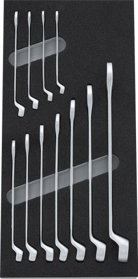 Modul 2017 1/3 Ringmaulschl.gerkrö.FORUM