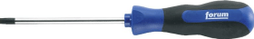 Schraubendr. Torx T 25x100mm FORUM