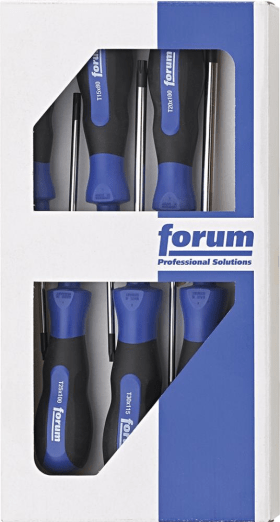 FORUM SCHRAUBENDREHER-SATZ 6-TLG. TORX® 4317784847216