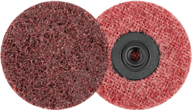 COMBIDISC Ronde Vlies hart 50mm mittel Pferd