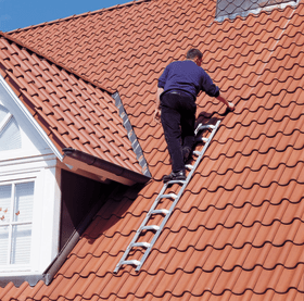 EUROLINE ALU-DACHDECKER-AUFLEGELEITER 320 3200112 1 X 12 SPROSSEN