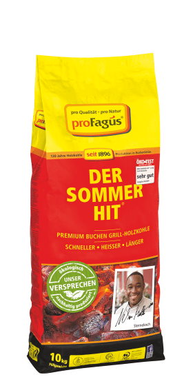 HOLZKOHLE SACK 10 KG SOMMERHIT 65655476 