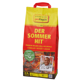 HOLZKOHLE SACK 2,5 KG SOMMERHIT 65655186 