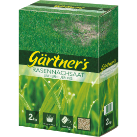 RASENNACHSAAT U. ERNEUER. 500G FS GÄRTNERS 4011239201164