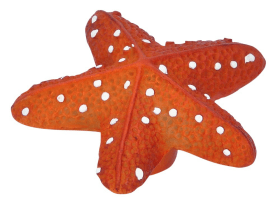 FORMAT MÖBELKNOPF KUNSTSTOFF SEESTERN 3377090807