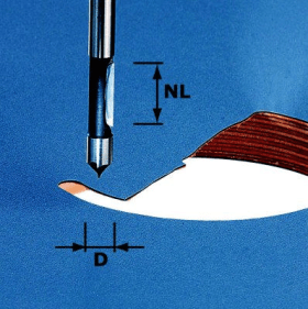 FESTOOL BOHRFRÄSER HW HW S8 D8/19 8X19X65MM 491037