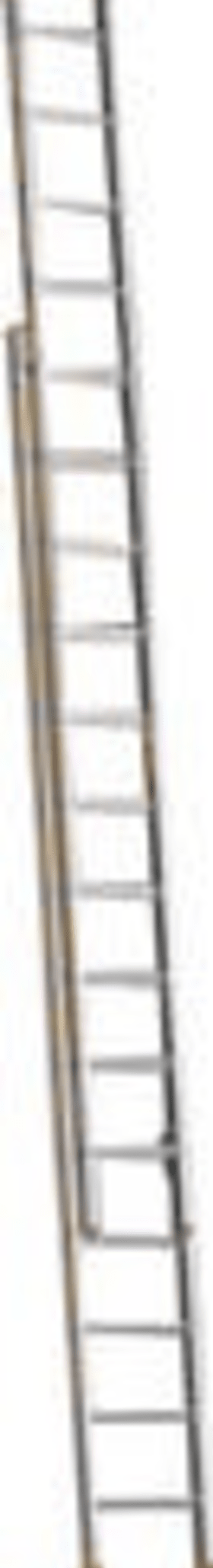 LAYHER SCHIEBELEITER TOPIC 1035 ALU 1035.014 4,10/7,15M 2 X 14 SPROSSEN