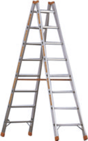 LAYHER SPROSSENSTEHLEITER TOPIC 1039 ALU 1039.006 1,85M 6 SPROSSEN