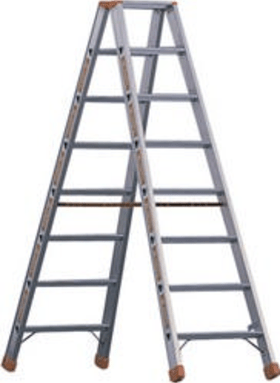 LAYHER STUFENSTEHLEITER TOPIC 1043 ALU 1043.012 3,00M 12 STUFEN