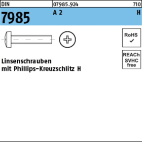 GEWINDESCHRAUBEN 3,0 X 30 MM LK A 2 DIN 7985 VE=1000 STK.