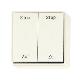 6-22539-00-0-0 | Wippschalter | WIPP-SCHALTER-AUFP.