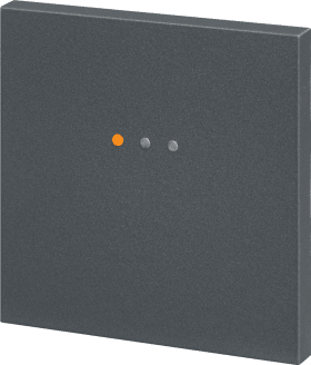 SCALA LESER MIFARE DESFIRE AUSSEN SIEDLE SILBER