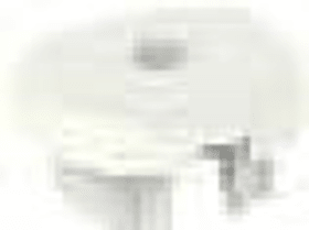 Maco  Schmutzabdeckung Scherenlager Multi Mammut Verkehrsweiß RAL 9016  364716