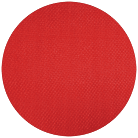 HOLZSTAR KLETTAUFNAHME FÜR SCHLEIFSCHEIBE 250MM 5912501