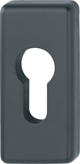 PROFILTÜR-SCHLÜSSELROSETTE 44S STCK/8.2/F9714M/PZ 11858278