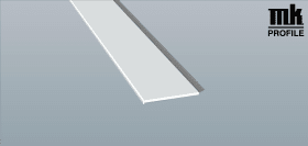 FLACHPROFIL 50X3MM SK LG 6M SCHW BI RO 078203 WL K 436 3031