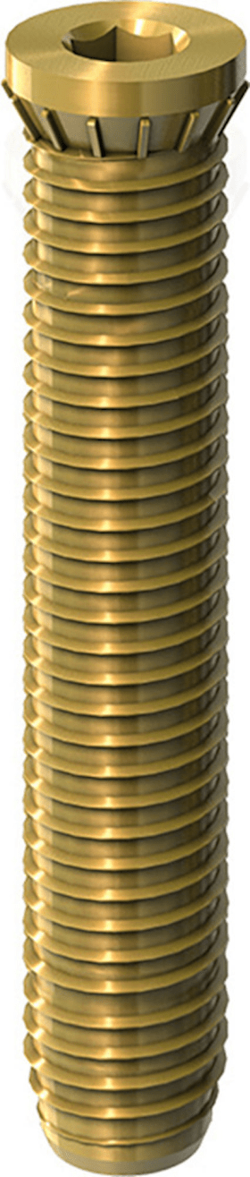 Dr. Hahn Ankerschraube Serie 60 AT VP02,M12,58