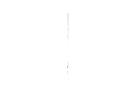 GETRIEBE STULP 16 AF Gr.160 2SB TS TGMS4060-100012