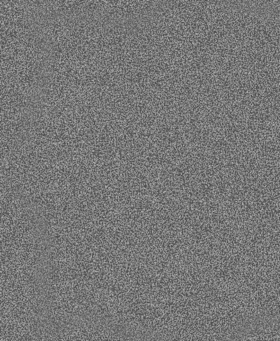 Bosch PRO C355 Schleifrolle, 230 x 280 mm, 80