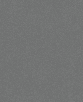 Bosch PRO C355 Schleifrolle, 230 x 280 mm, 400