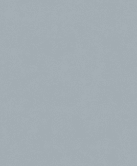 Bosch PRO C355 Schleifrolle, 230 x 280 mm, 1200