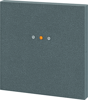 SCALA LESER MIFARE DESFIRE AUSSEN SIEDLE DUNKELGRAU GLIMMER