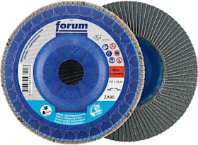 FORUM Fächerschleifscheibe 125mm, gewölbt, ZK 80 trimmbar 