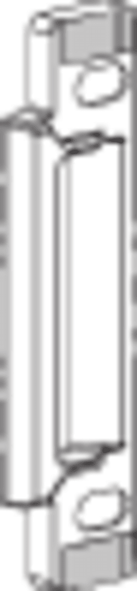 ROTO Profilschließblech ktg, silberfarben