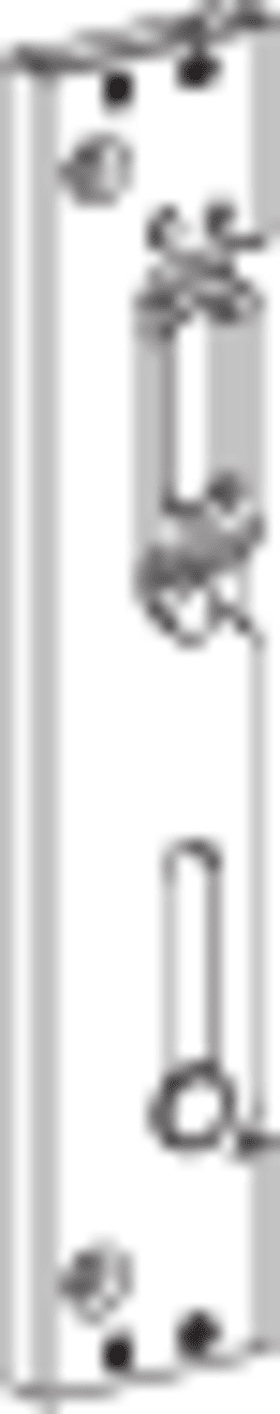 ROTO Profilschließblech AS202, DL, 35x174x11 ktg, silberfarben