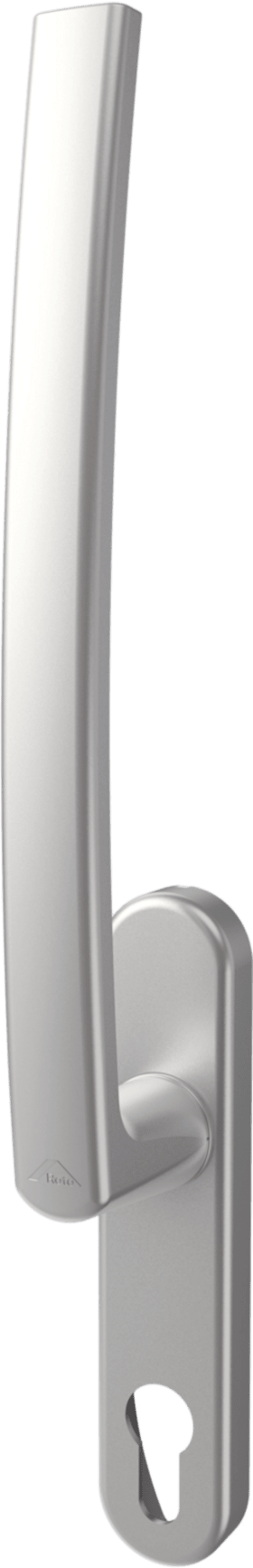 ROL PLT 300 INNEN OHNE PZ ML. 40MM R01.1 NATURSILBER  VE=1  ROTO  635146