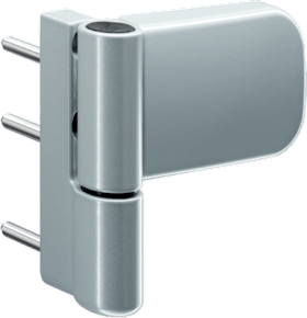 ROTO Aufschraubband DoorLine 105NN, 19-21, 5, 37, edelstahloptik