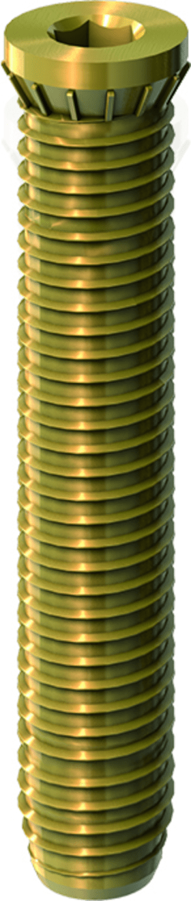 Dr. Hahn Anker-Schraube M12x58 mm