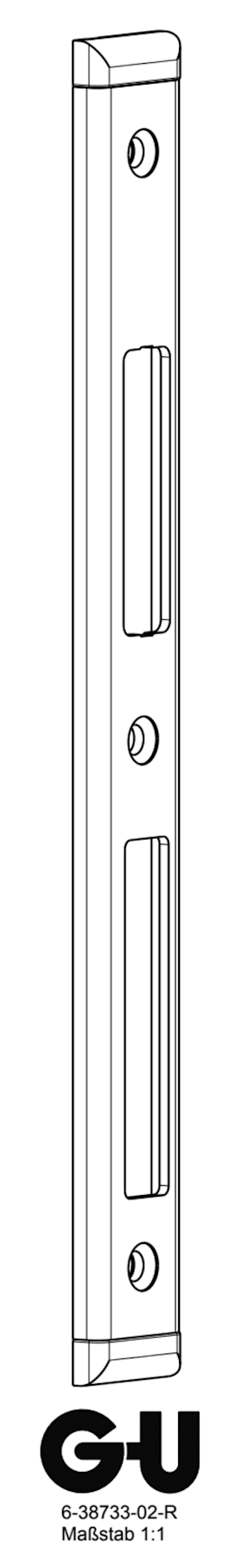 6-38733-02-R-1 | Schließblech | SECURY