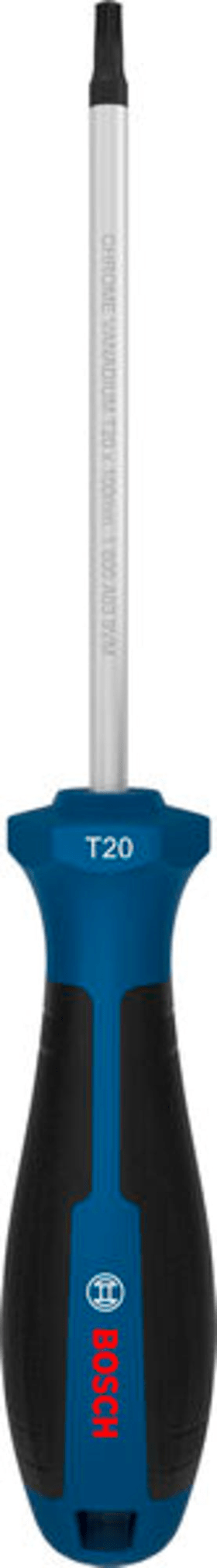 Bosch Professional Schraubendreher TX20x100
