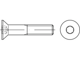 Reyher Senkkopfschrauben 8 x 30 mm A2 mit Innensechskant DIN 7991, 100 Stück