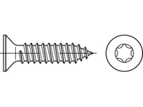 Reyher Senk-Blechschraube mit Innensechsrund A2 3,5 x 19 mm T15 ISO14586, 1000 Stück